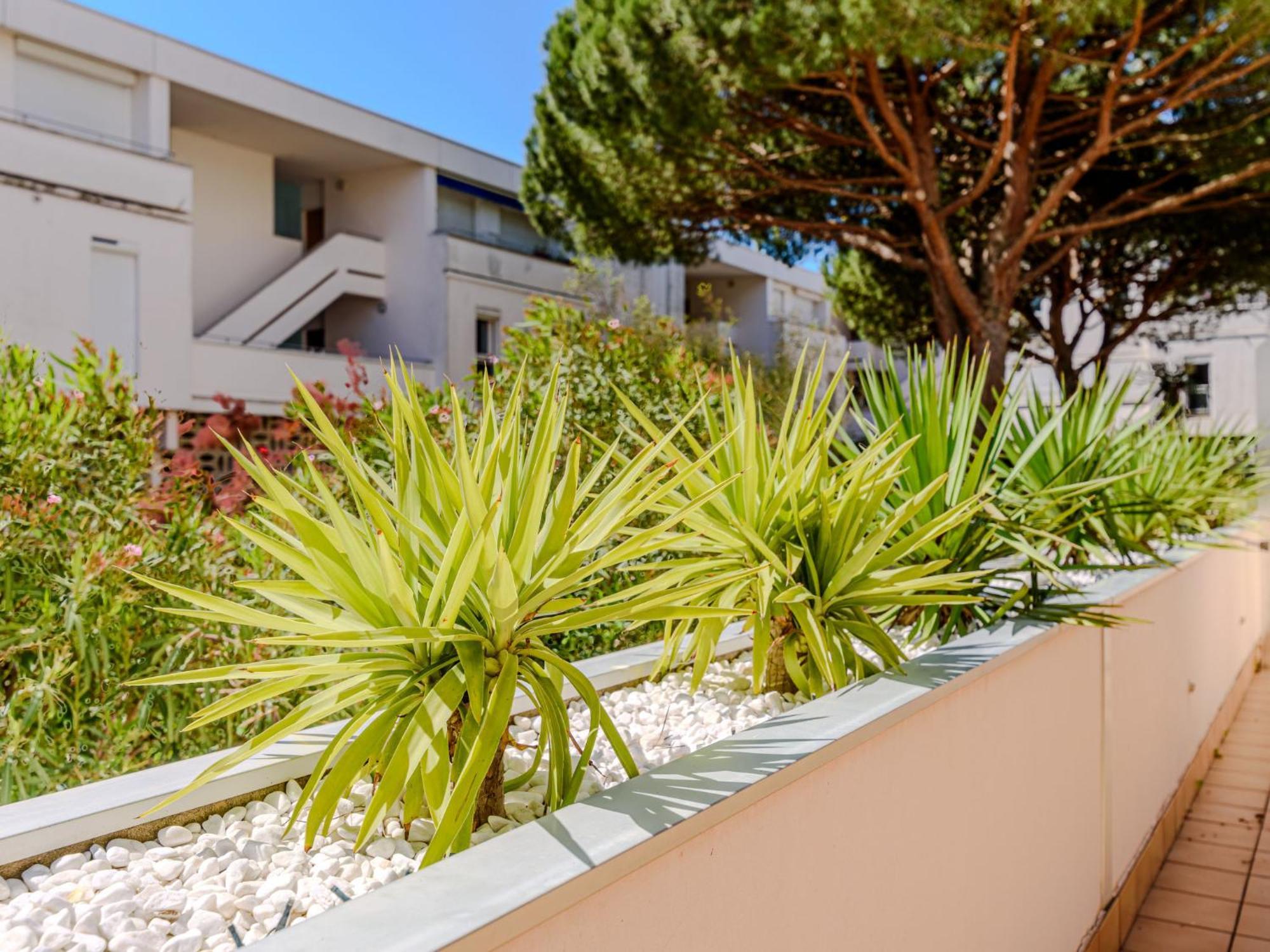 Apartment Antinea-4 By Interhome La Grande-Motte Zewnętrze zdjęcie